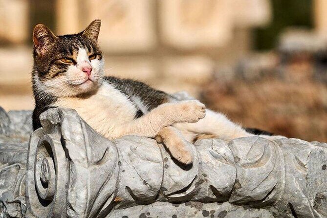 Ephesus and Virgin Mary House Private Tour with Lunch and Pickup - Terrace Houses: Quiet Luxury, Beautiful Mosaics