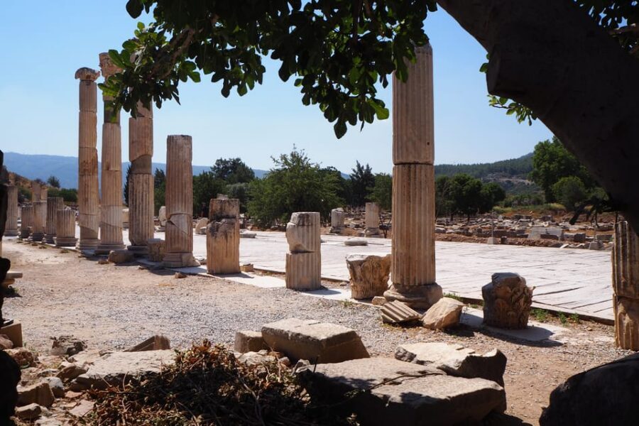 Ephesus: Half-Day Tour from Kusadasi - Hadrian’s Temple, Artemis, and the Medusa Carving