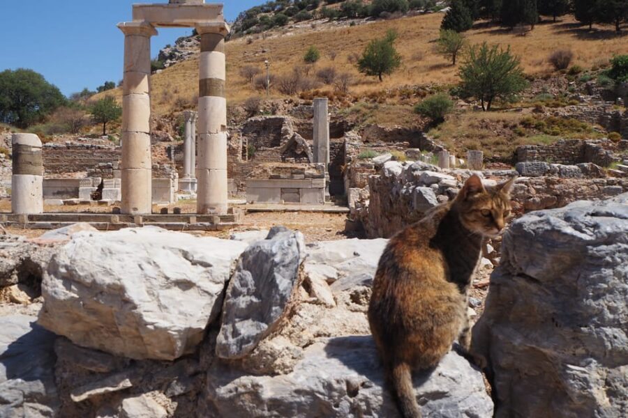 Ephesus: Half-Day Tour from Kusadasi - Scholastica Baths Toilets and Other Tiny Details That Feel Personal