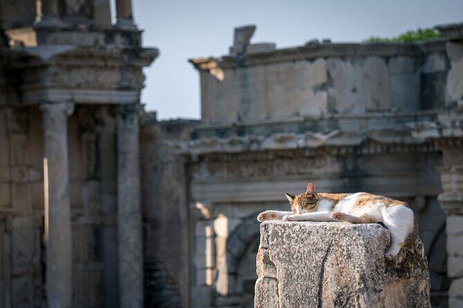 Ephesus: Private Tour with Skip-The-Line & Less Walking - Temple of Artemis: a quick 15-minute stop with real wow-factor history