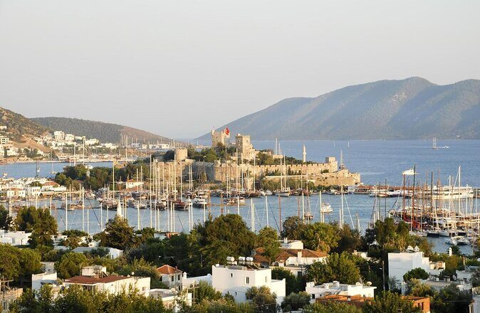 Full-Day Tour from Bodrum to Ephesus - Bodrum to Ephesus: what a 12-hour day really feels like