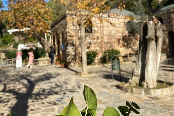Izmir to Private Ephesus - Artemission Temple-Mother Mary's House - Temple of Artemis: a quick stop that still tells a big story