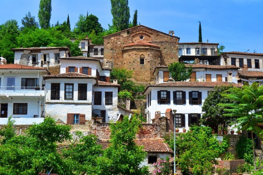 Kusadasi or Selcuk: Full-Day Ephesus Tour with Lunch - Temple of Artemis: Visiting a Seven-Wonders Name in Real Life