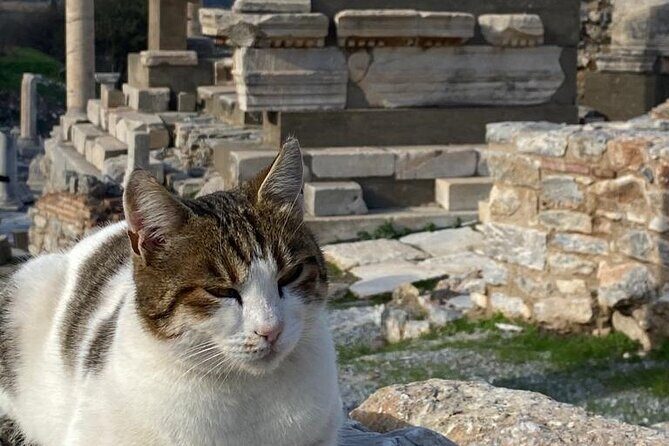 LESS Walking Tour : Private Ephesus, House of Virgin Mary, Temple - Comfortable AC Transport and a Truly Private Day