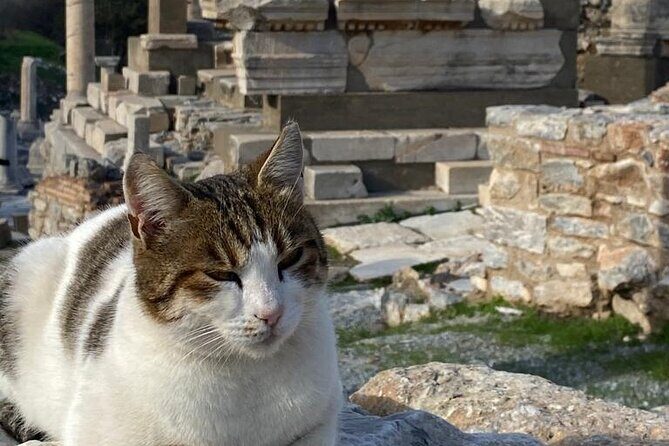 NO HIDDEN FEES : Ephesus, Virgin Mary's House, St. John Basilica - Basilica of St John: The Burial-Site Connection