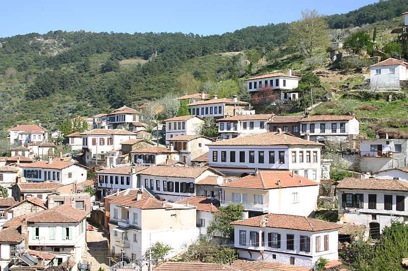 Private Ephesus, Terrace Houses & Sirince Village Tour - Terrace Houses: The Elite’s Everyday Life in Mosaics and Painted Walls