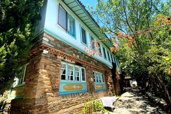 Private Ephesus Tour & Cooking Class in Village - Lunch with the family: food plus extras that feel homegrown