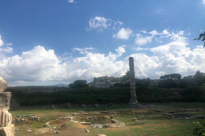 Private Express Ephesus Tour from Izmir Port / Cruisers only - Port Pickup: The Meeting Point System That Saves Your Energy