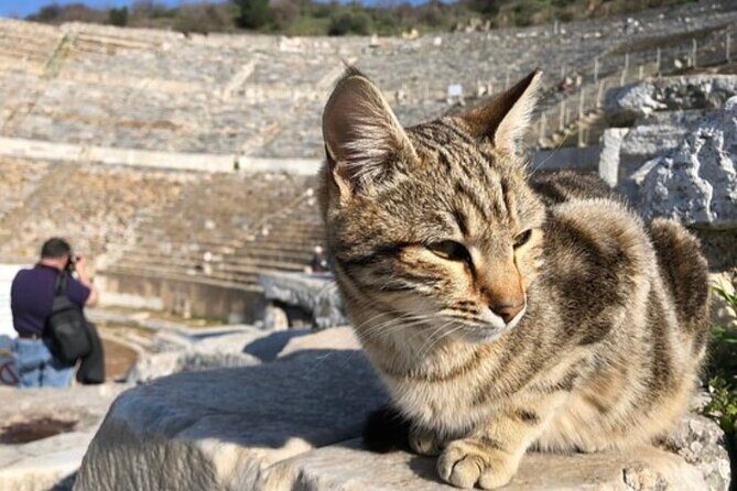 Private Tour : Biblical Ephesus Tour for Cruisers from Kusadasi ( Ephesus ) Port - Should you book this Biblical Ephesus tour from Kusadasi Port?
